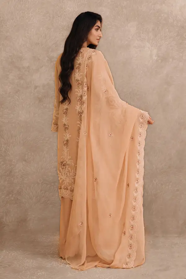 2 Pcs Embroidered Pure Chiffon Suit