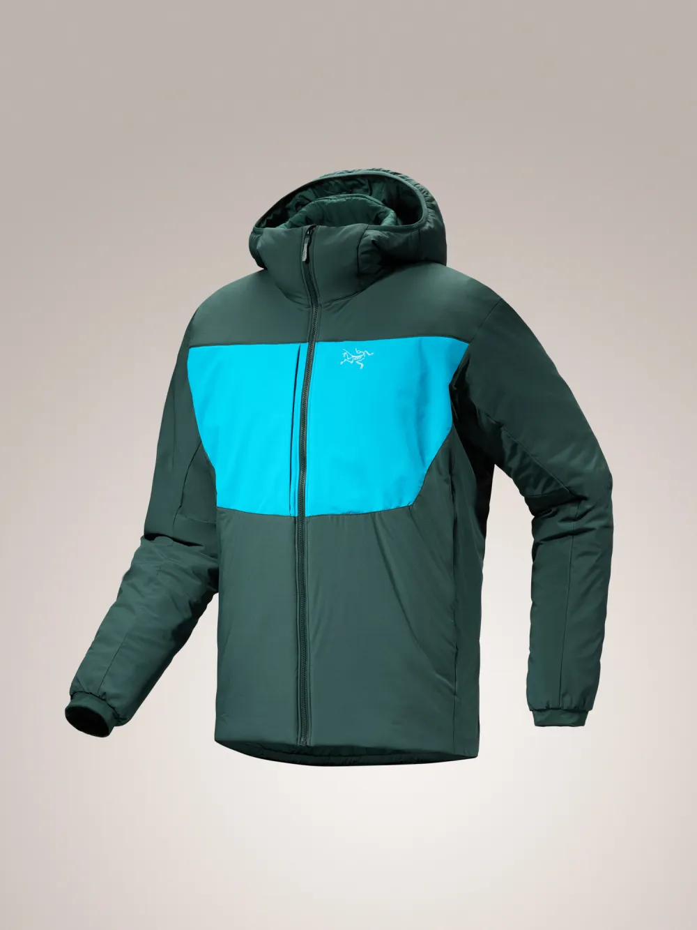 Proton Heavyweight Hoody Men's