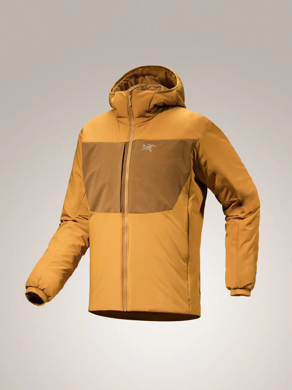 Proton Heavyweight Hoody Men's