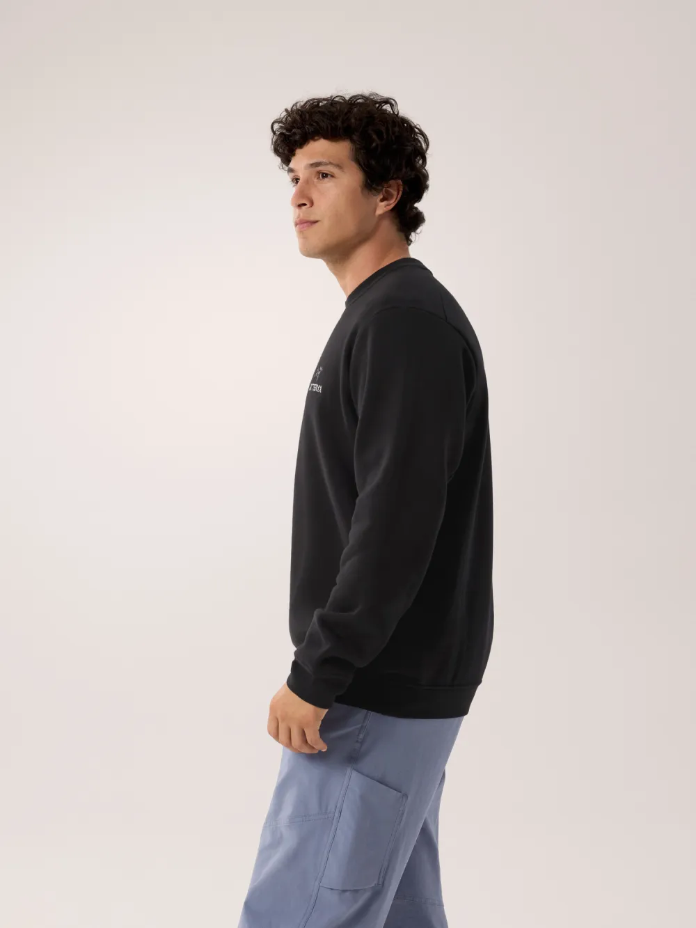 Emblem Fleece Crew Neck Pullover Men's