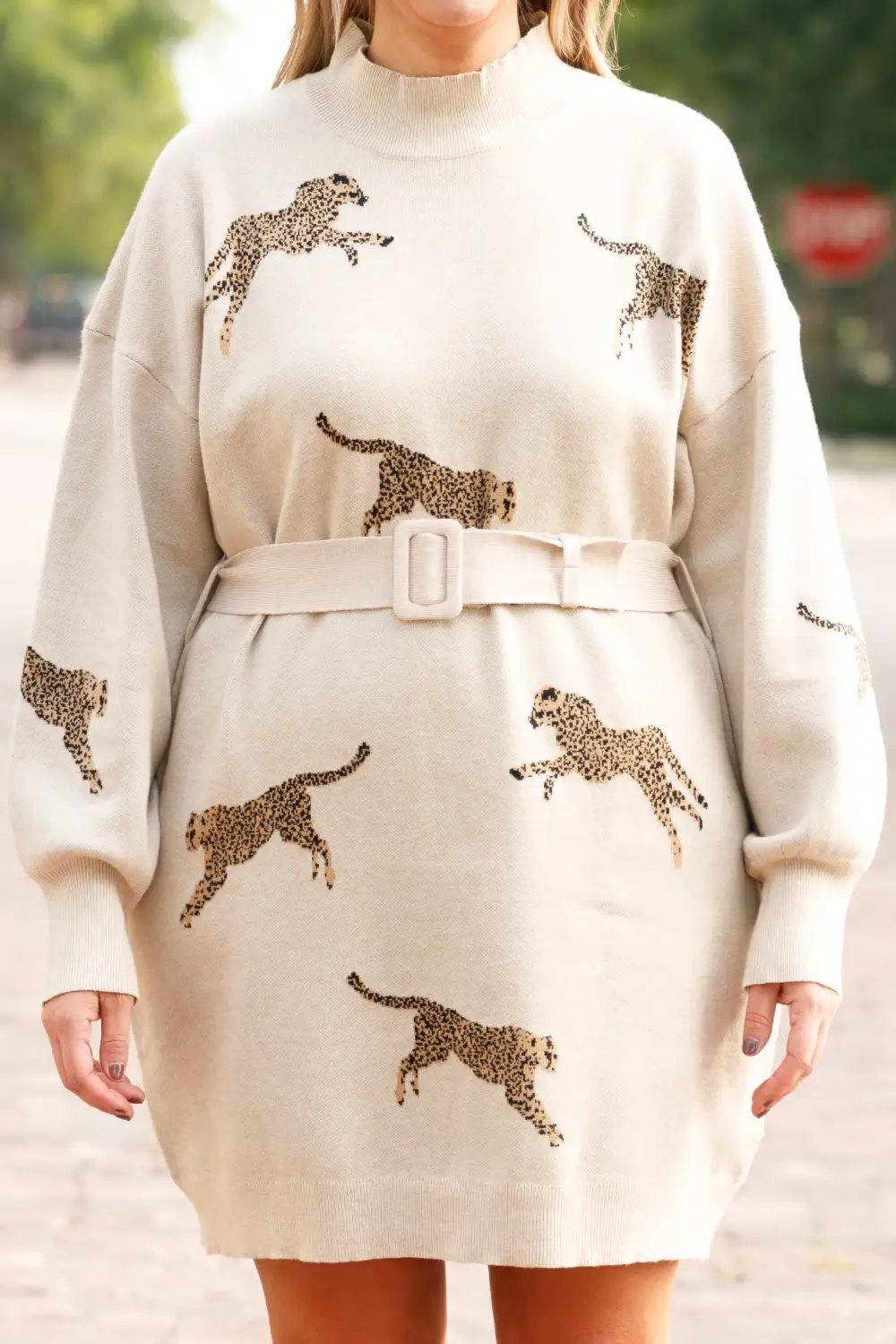 So Fierce Sweater Dress, Oatmeal