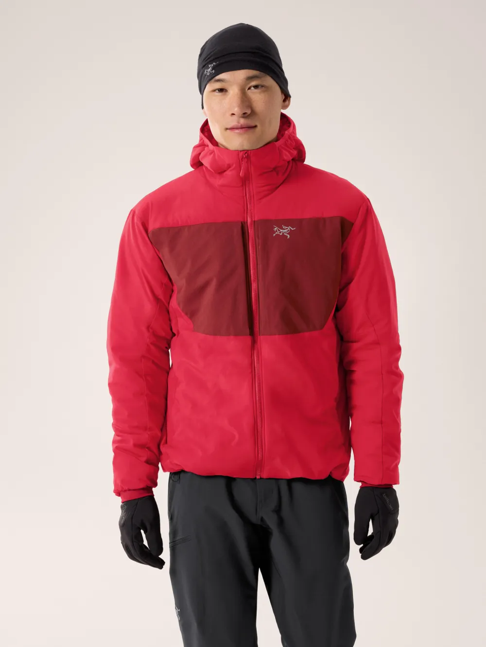 Proton Heavyweight Hoody Men's