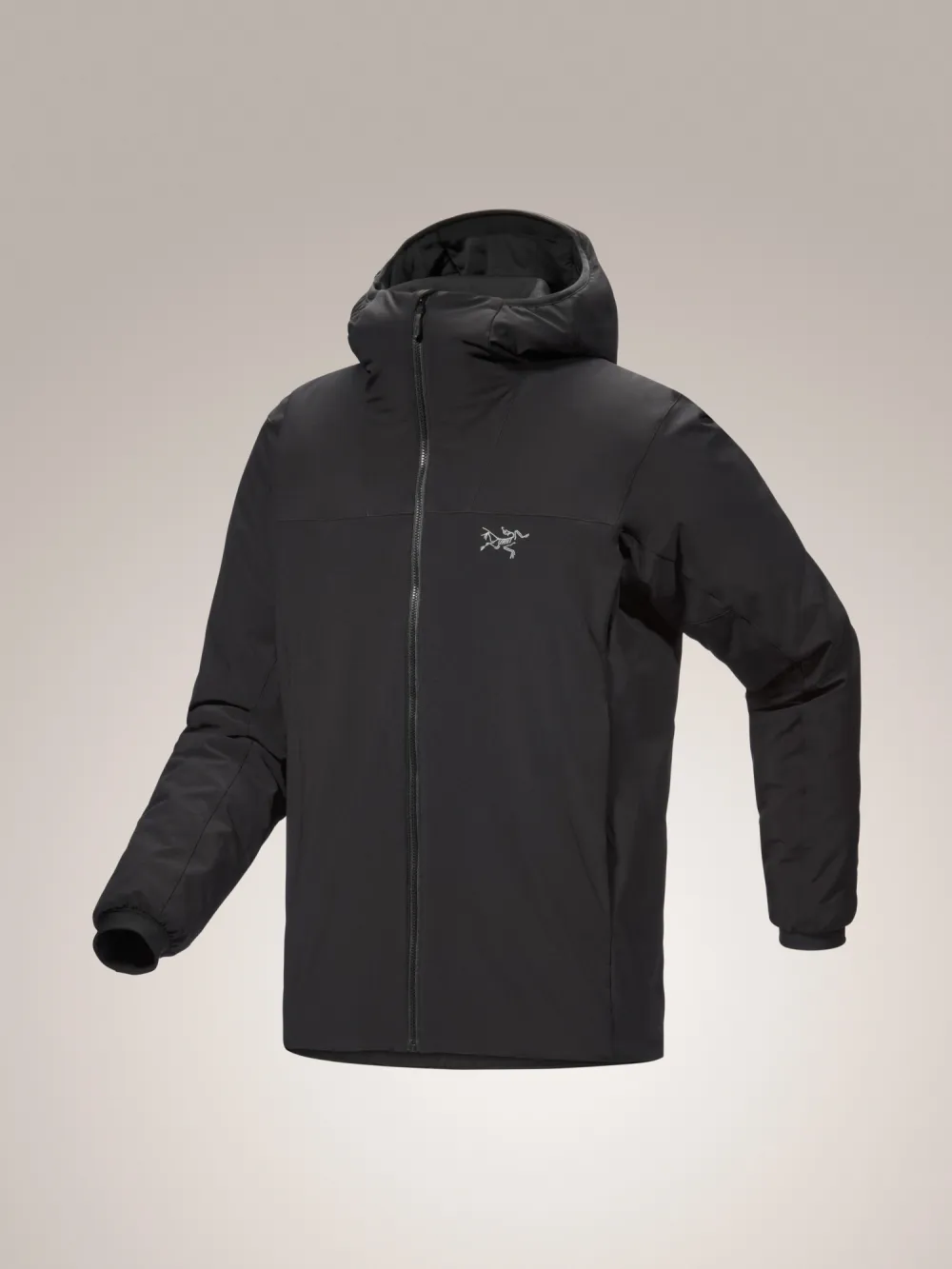 Epsilon Insulated Hoody Men's