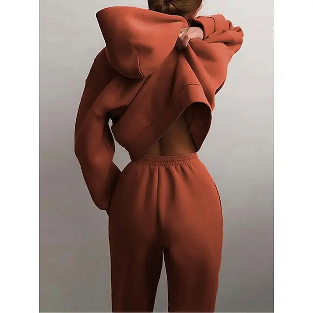 Women's Tracksuit Sweatsuit 2 Piece Street Winter Long Sleeve Fleece Thermal