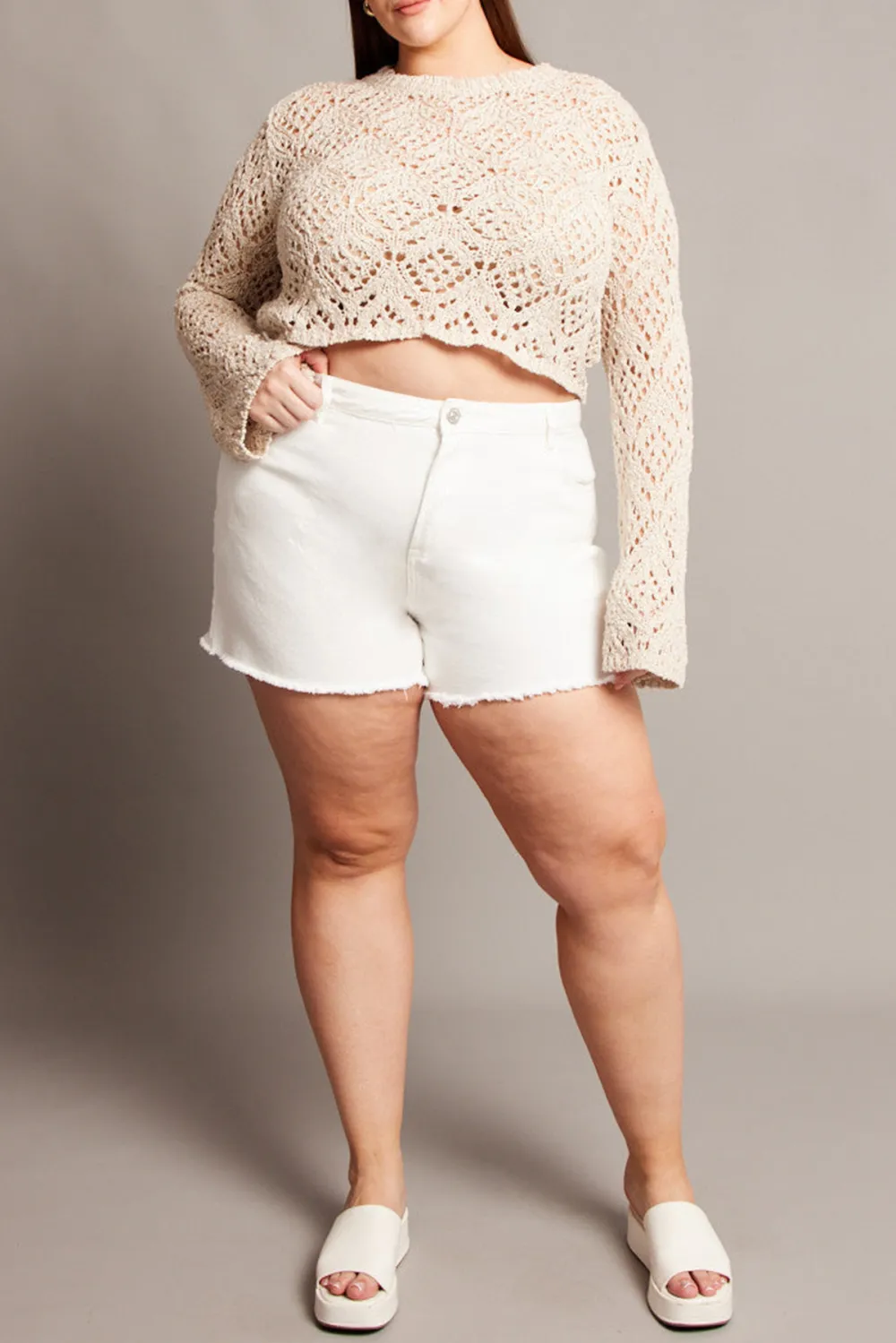 Beige Crochet Knit Top Long Sleeve Crew Neck