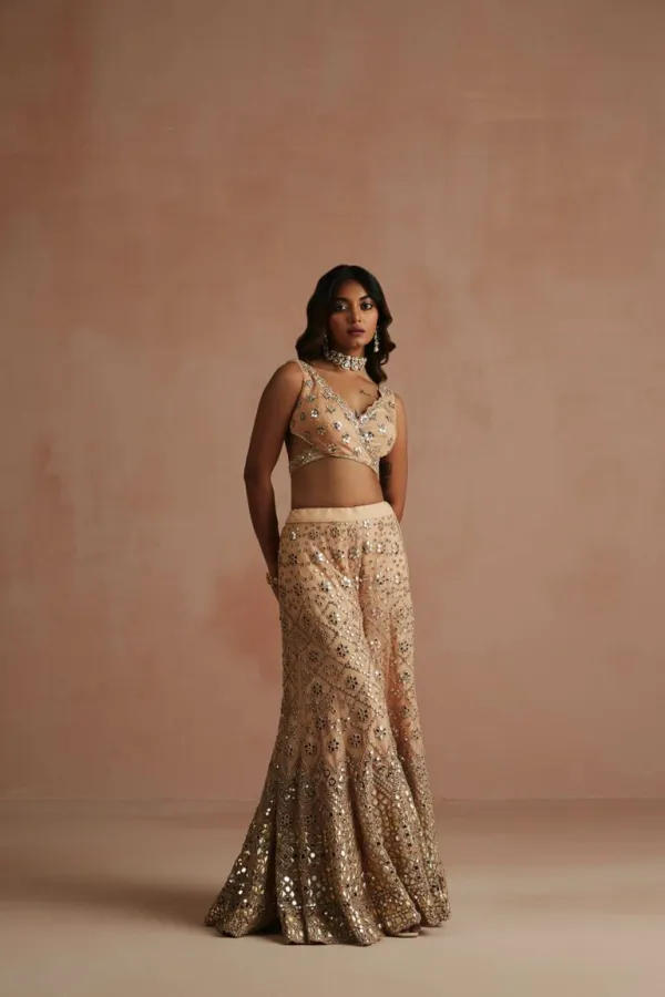 Deep Nude Mirror & Applique Drape Sharara Set