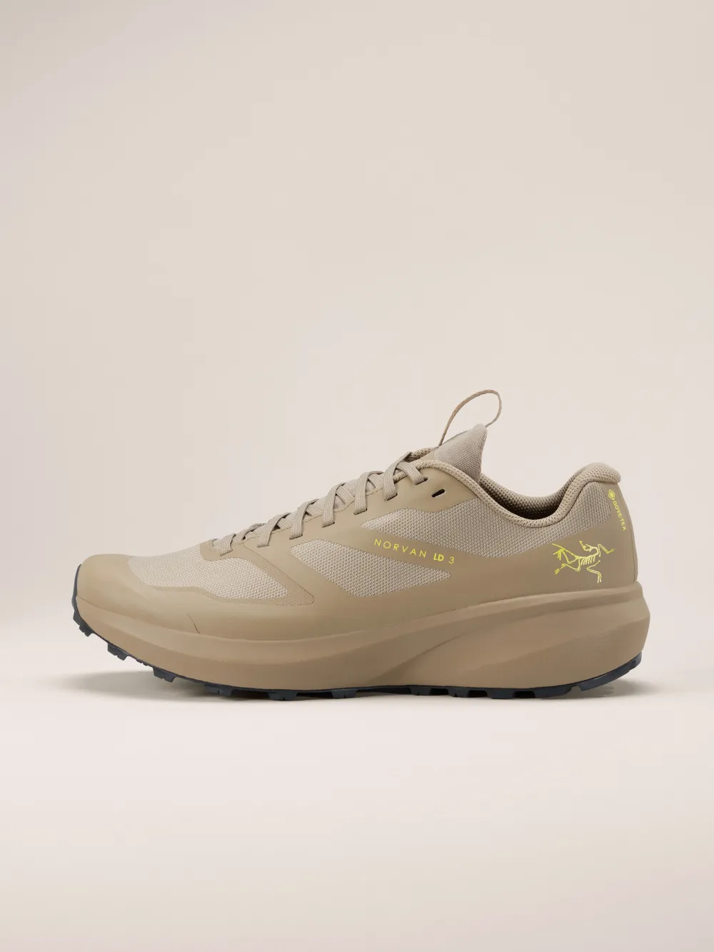 Norvan LD 3 GTX Shoe Men's