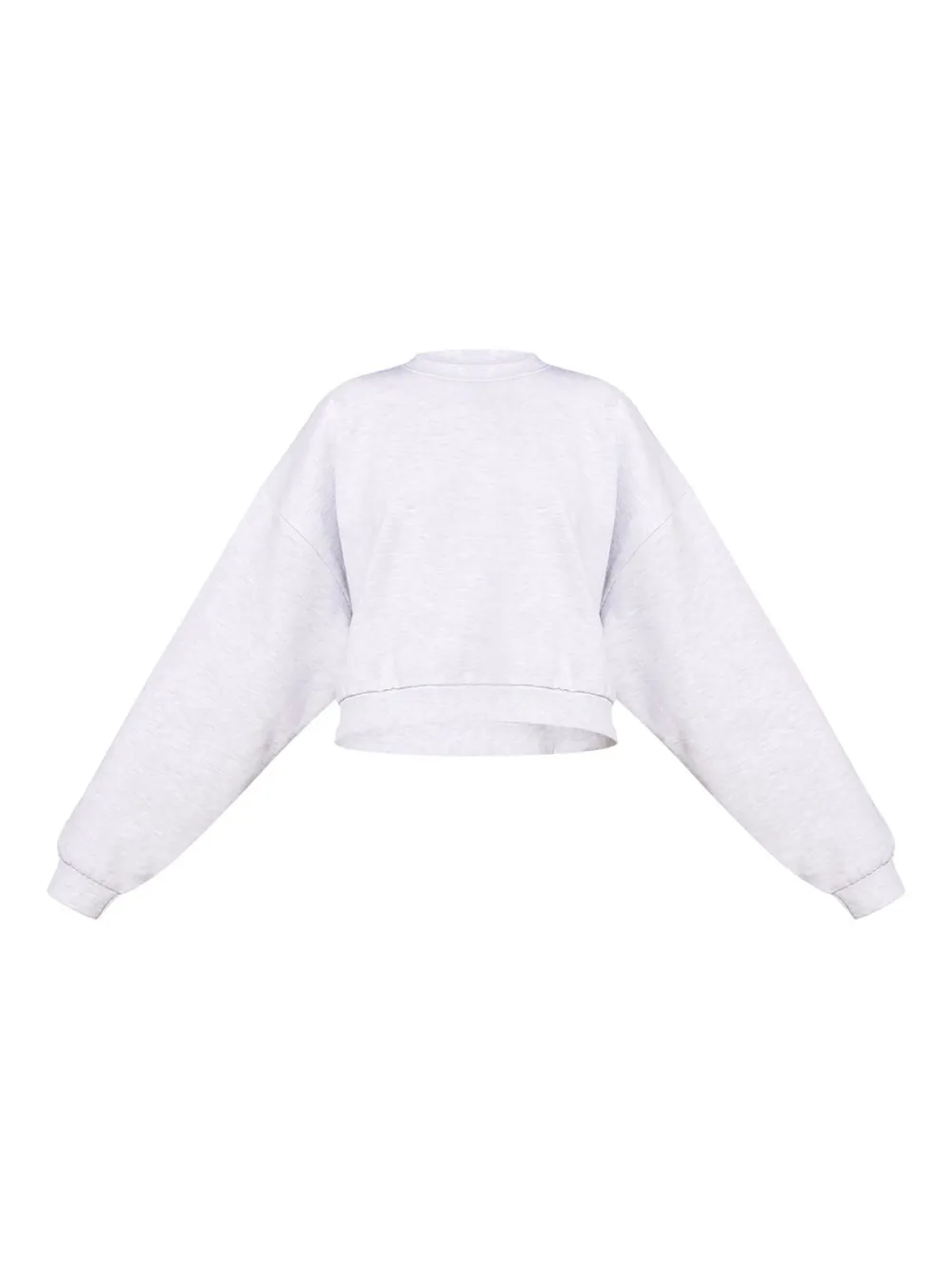 Ash Grey Premium Basic Crew Neck Cropped Sweatshirt