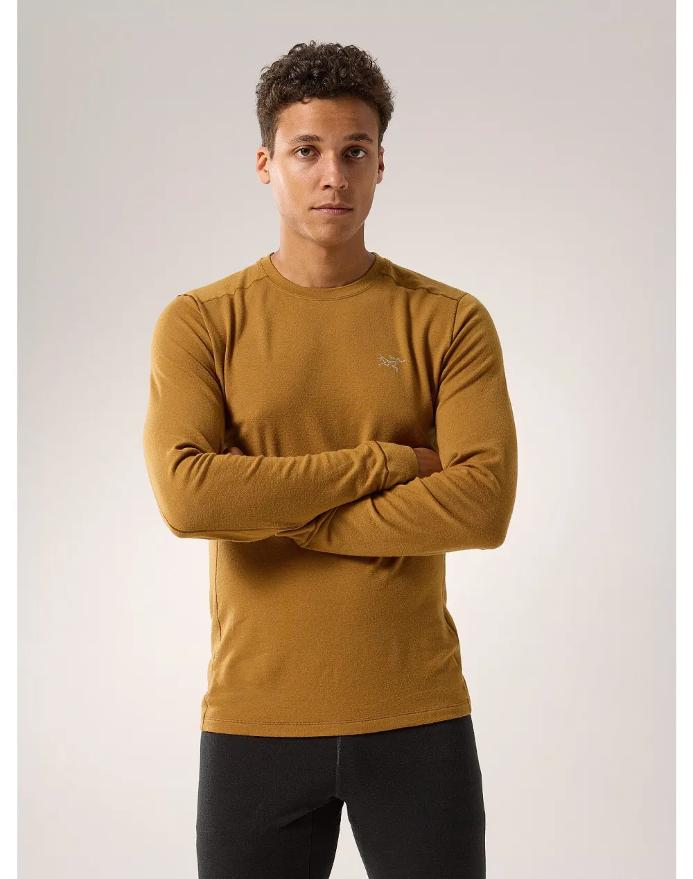 Rho Merino Wool Crew Neck LS Men's