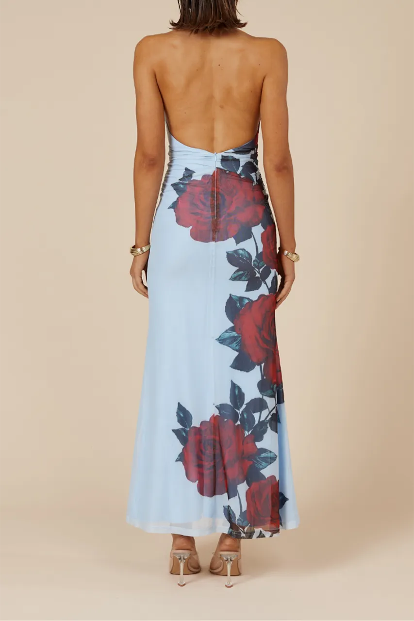 ANTONIE MAXI DRESS