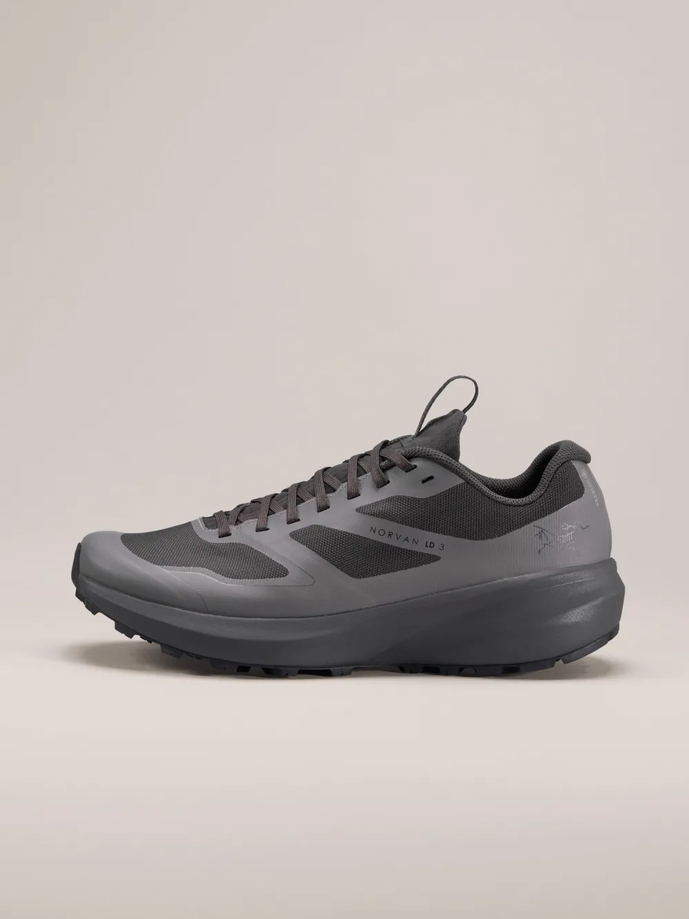 Norvan LD 3 GTX Shoe Men's