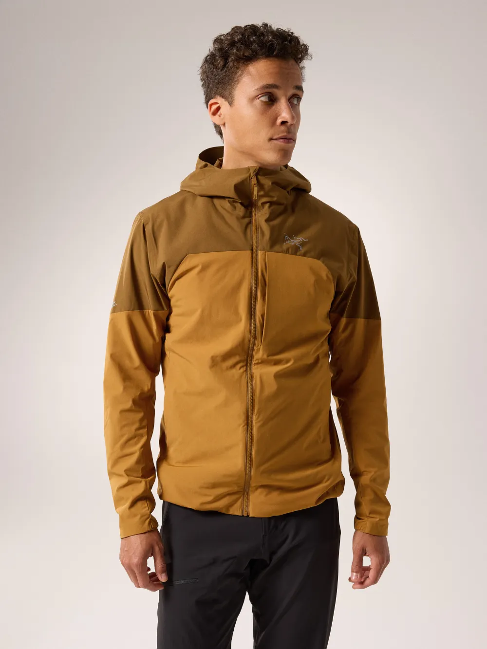 Proton Hybrid Hoody Men's