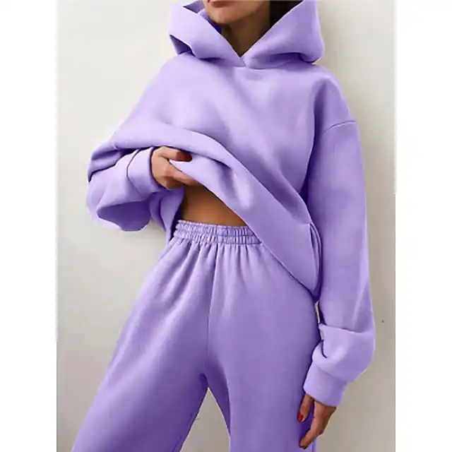 Women's Tracksuit Sweatsuit 2 Piece Street Winter Long Sleeve Fleece Thermal