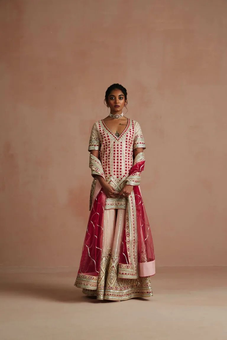 Blush Pink & Crimson Gota Embroidered Gharara Set