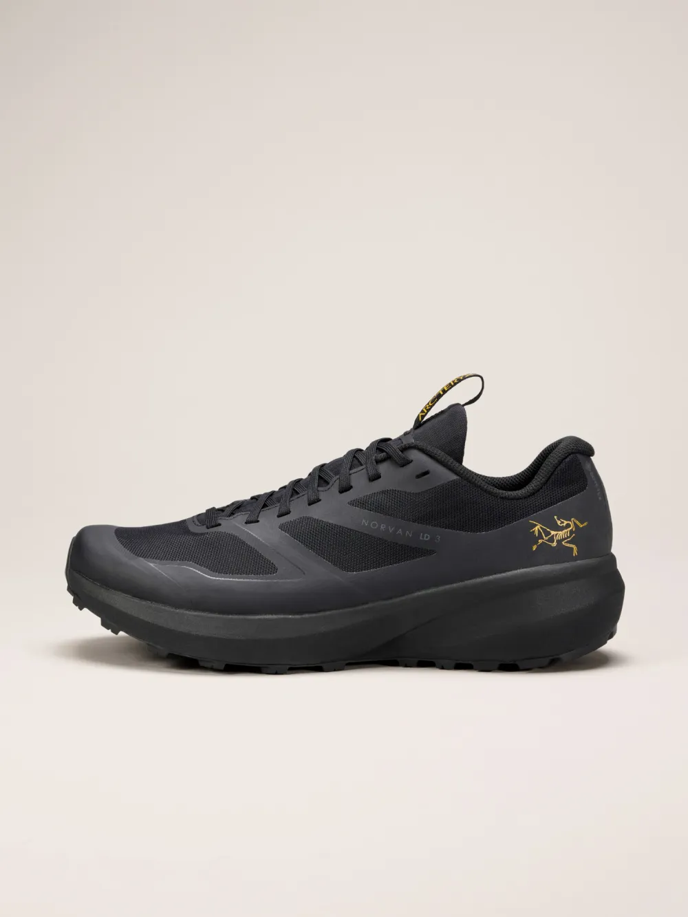 Norvan LD 3 GTX Shoe Men's