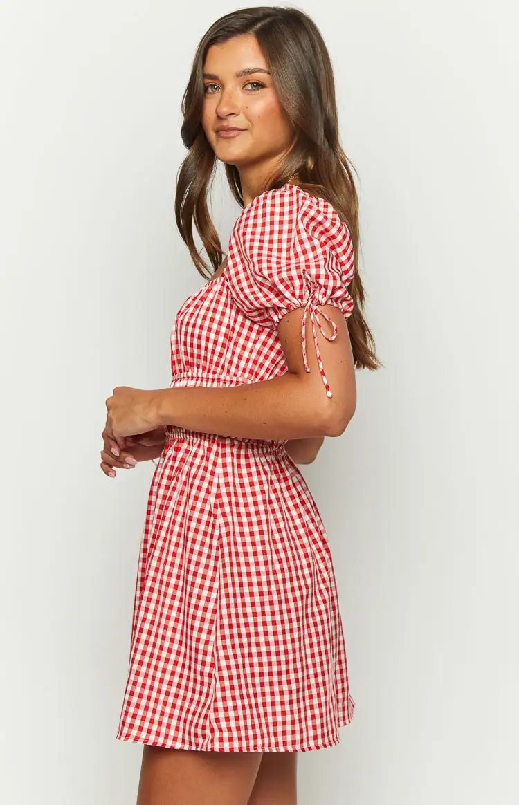 I'm Yours Red Gingham Mini Dress