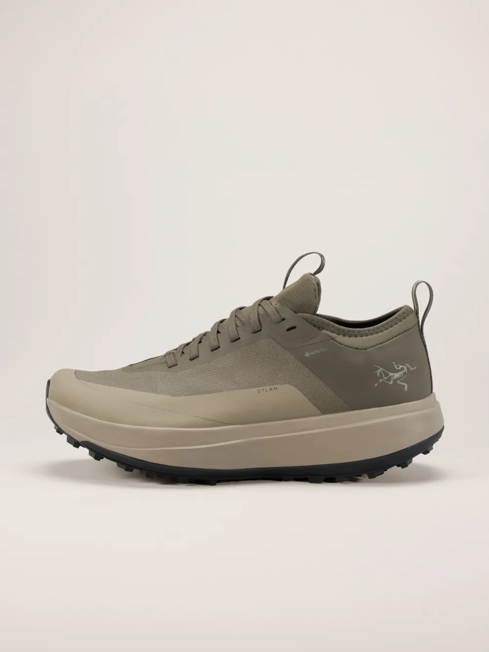 Sylan GTX Shoe Men's