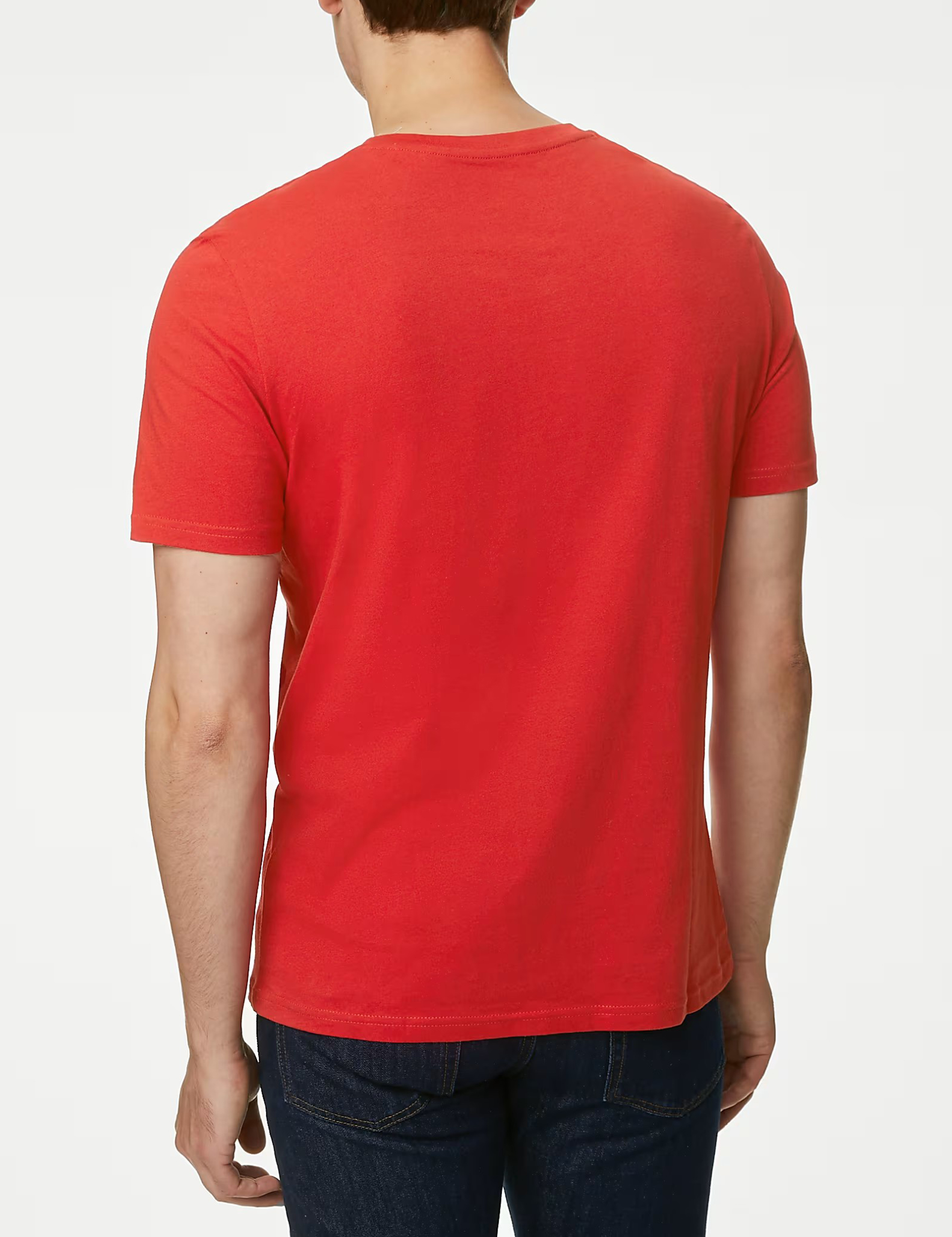 Daily Pure Cotton Ombre T-Shirt