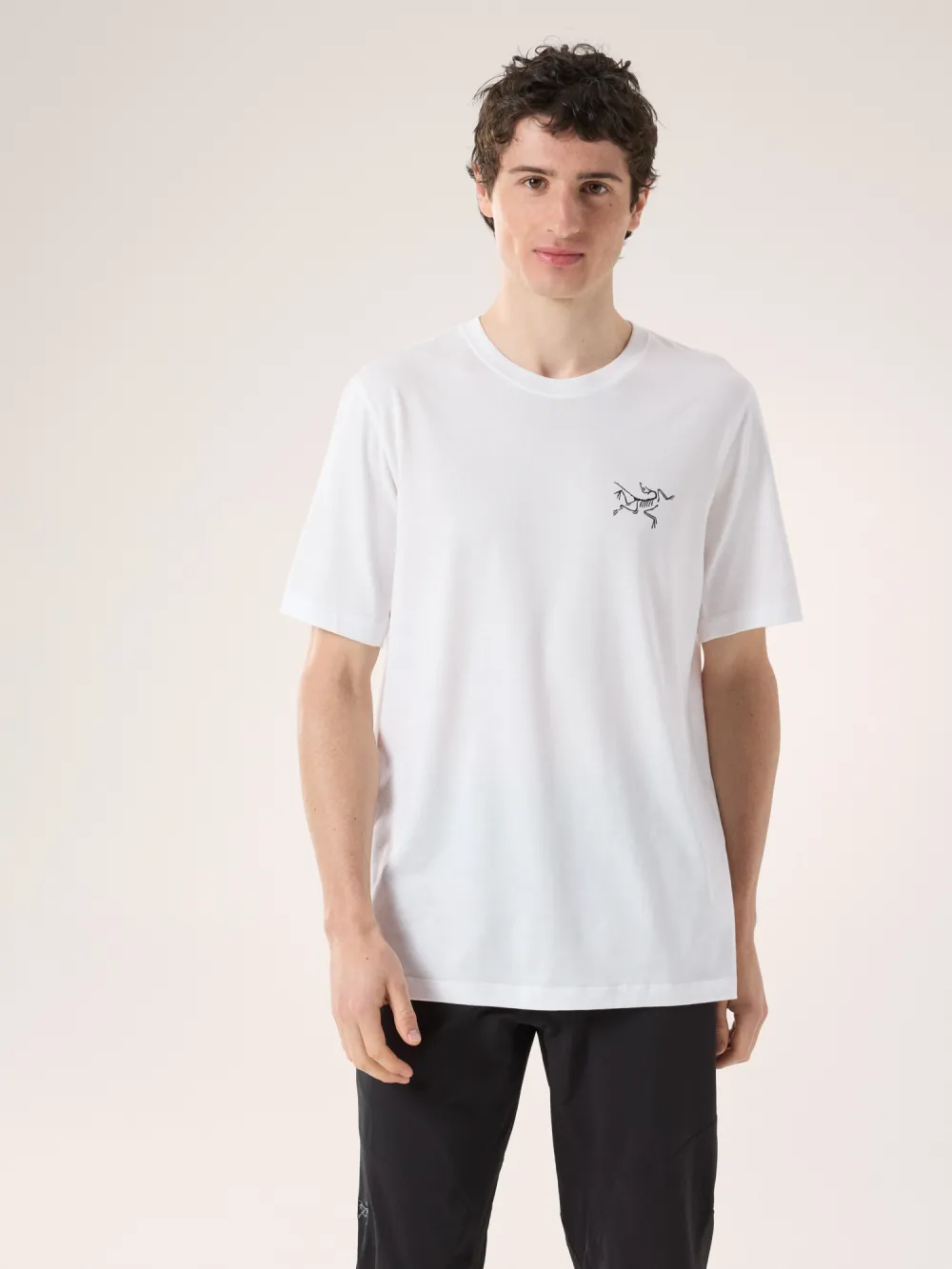 Arc'Multi Bird Logo Shirt SS Men's