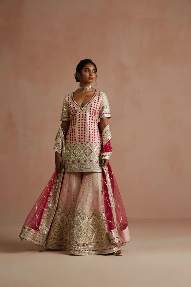 Blush Pink & Crimson Gota Embroidered Gharara Set