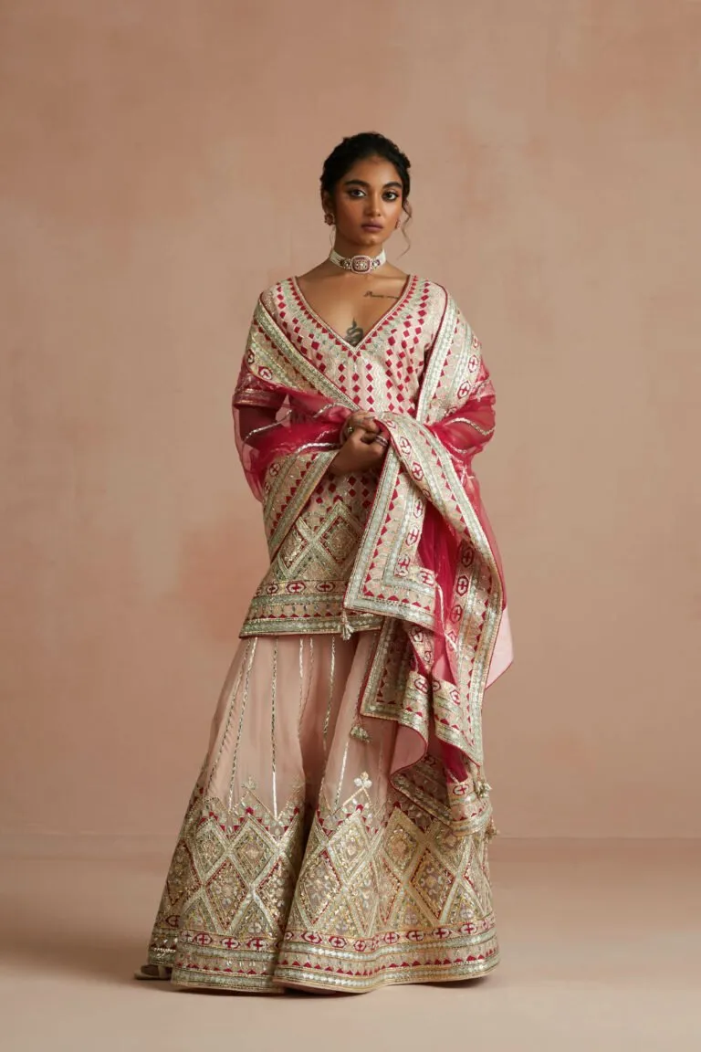 Blush Pink & Crimson Gota Embroidered Gharara Set