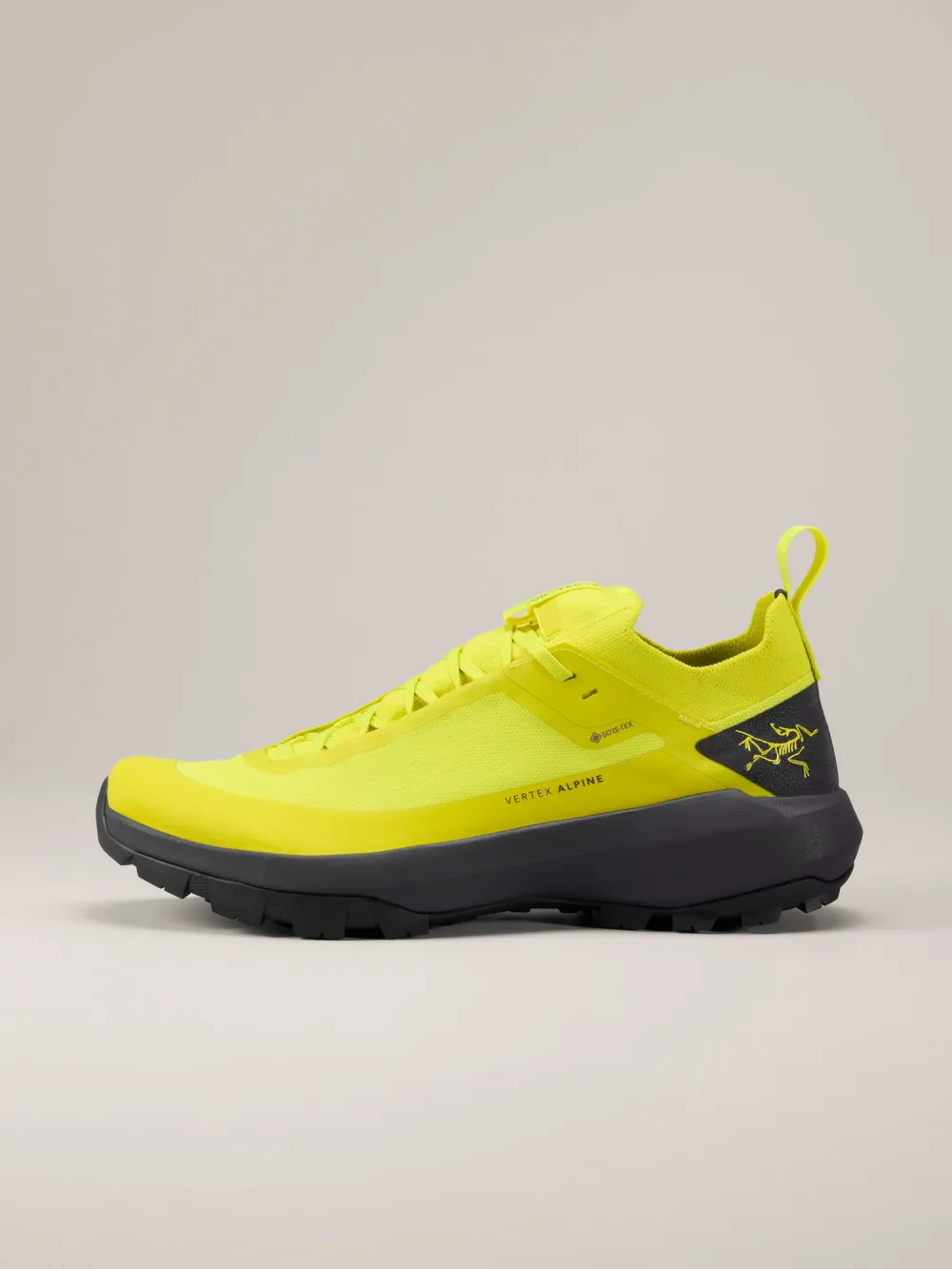 Vertex Alpine GTX Shoe Men's