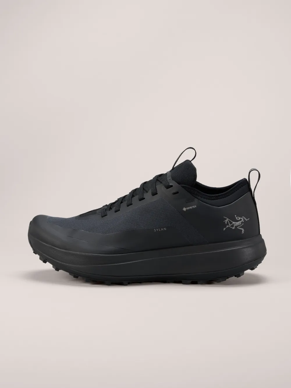 Sylan GTX Shoe Men's