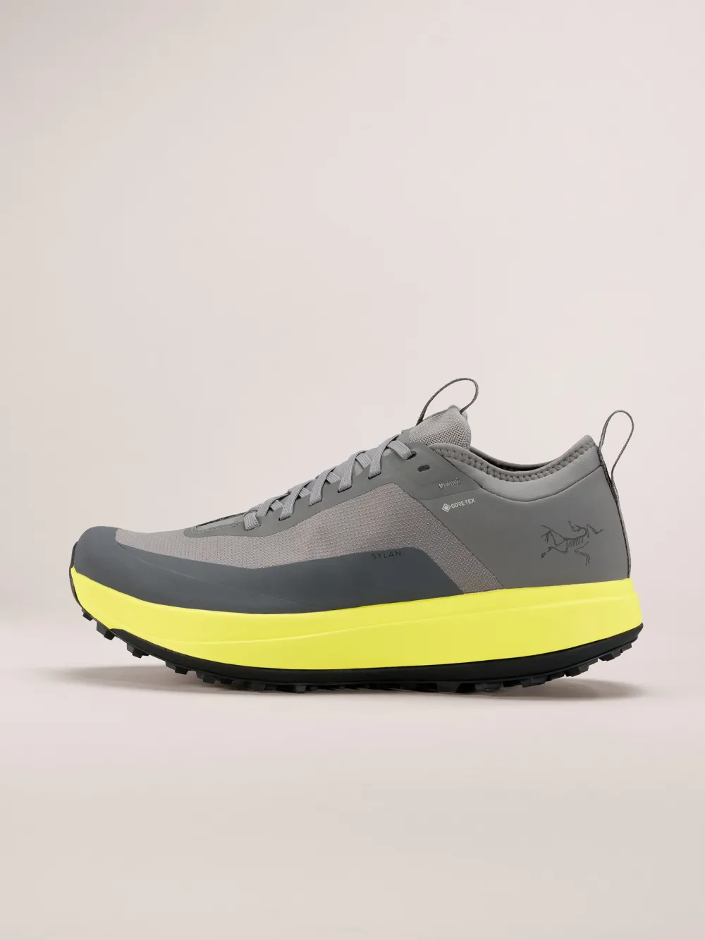 Sylan GTX Shoe Men's