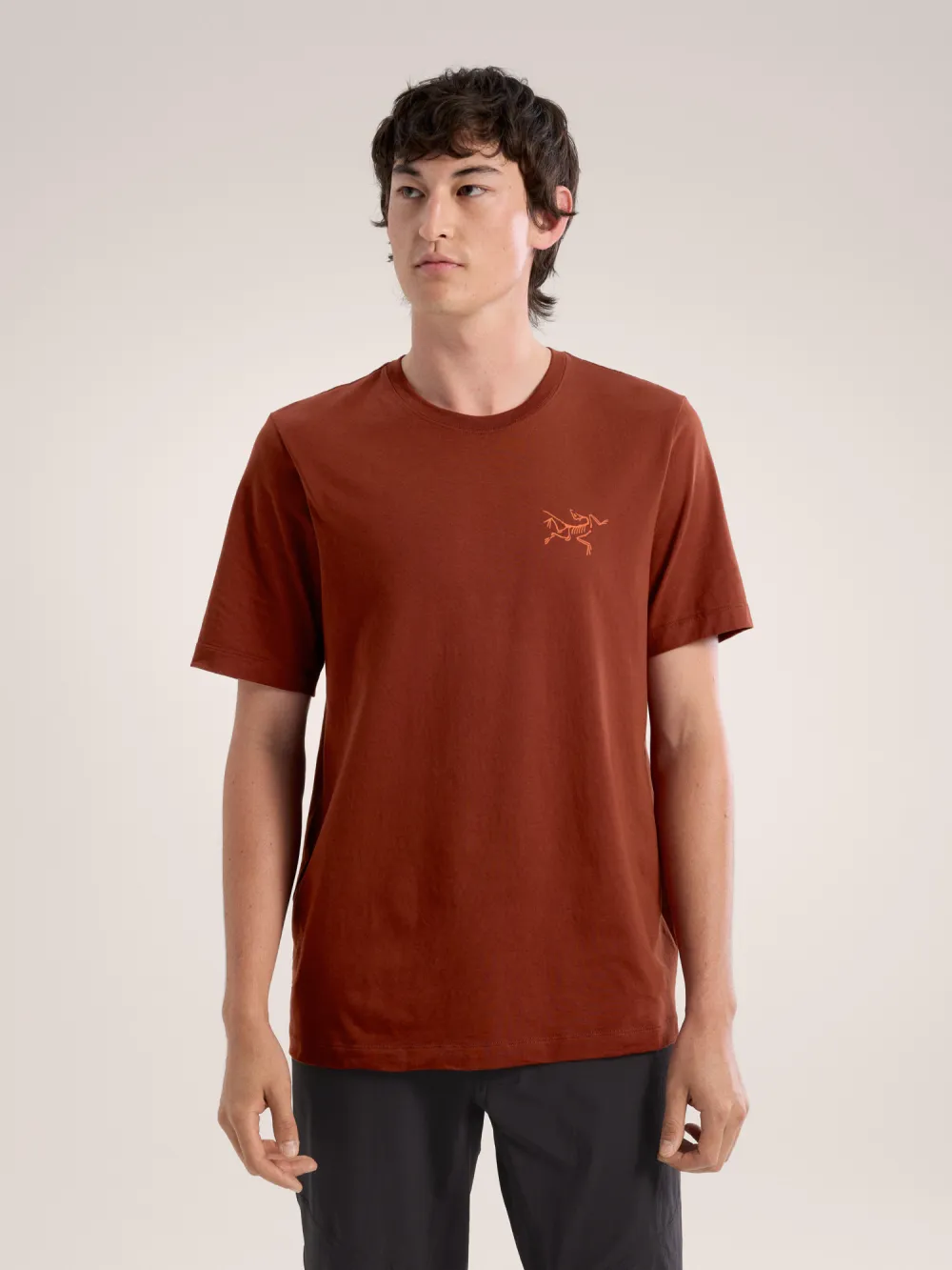 Arc'Multi Bird Logo Shirt SS Men's