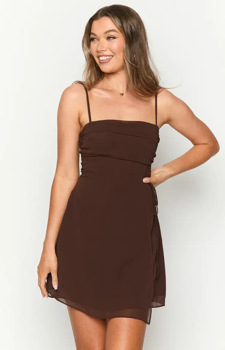 Trinin Brown Mini Dress