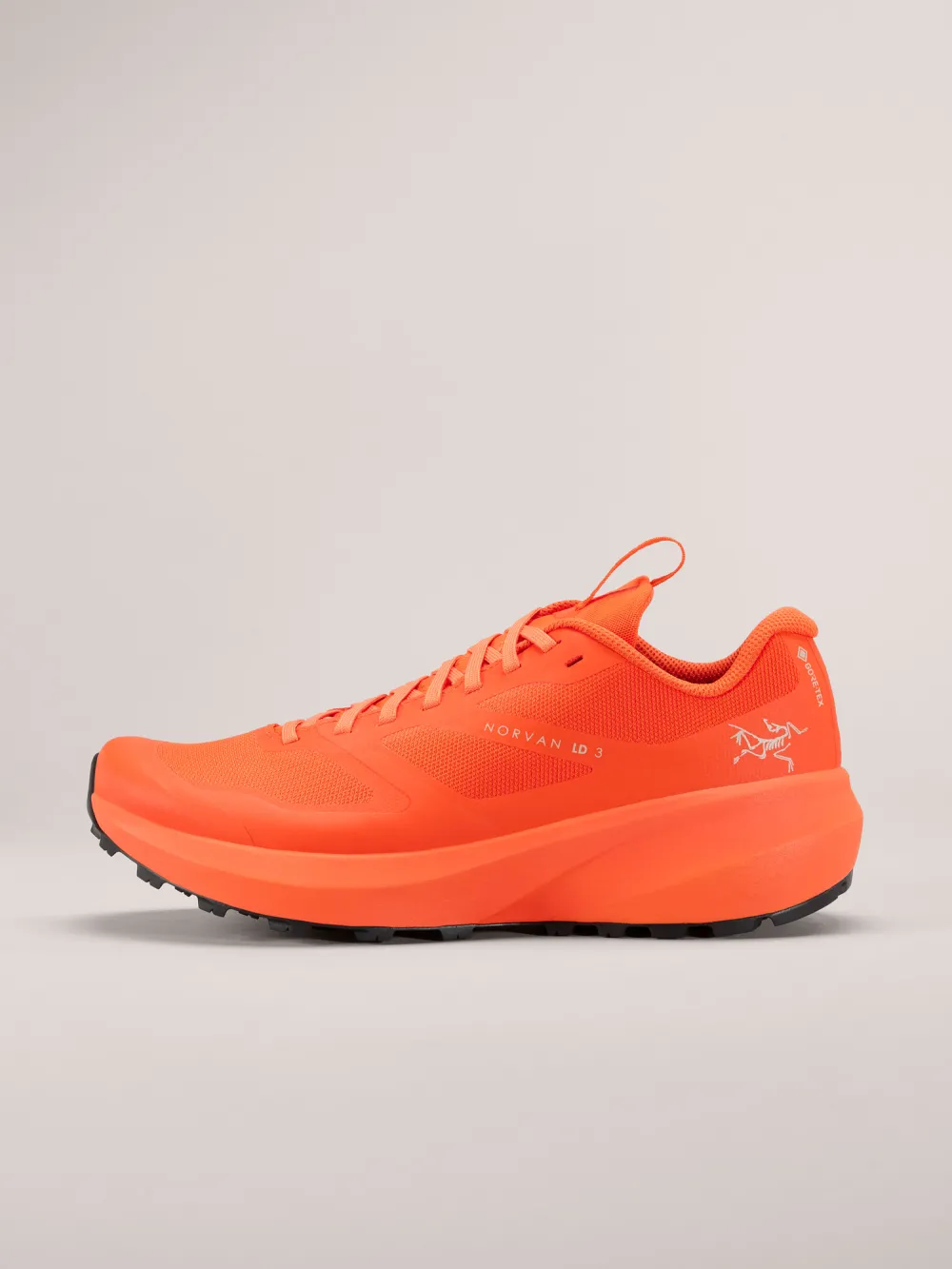 Norvan LD 3 GTX Shoe Women's