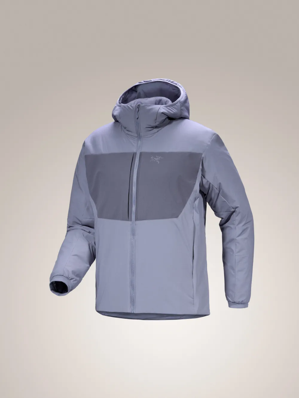 Proton Heavyweight Hoody Men's