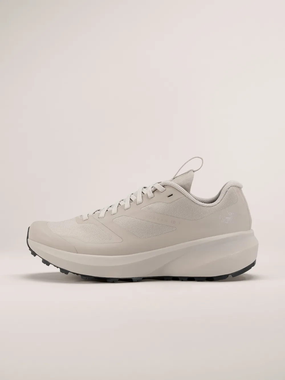 Norvan LD 3 GTX Shoe Women's