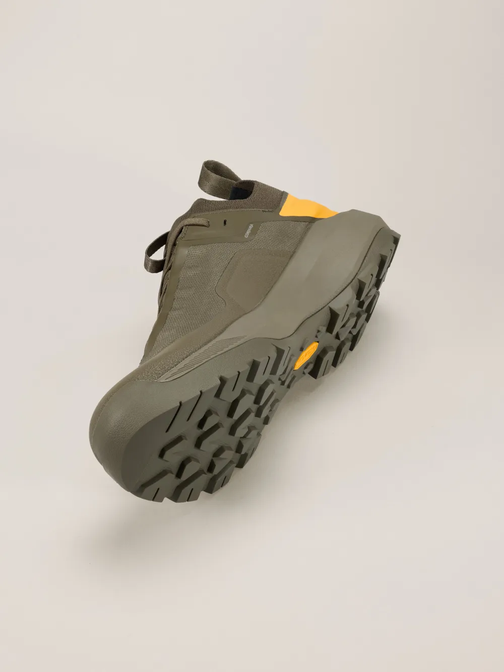 Vertex Alpine GTX Shoe Men's