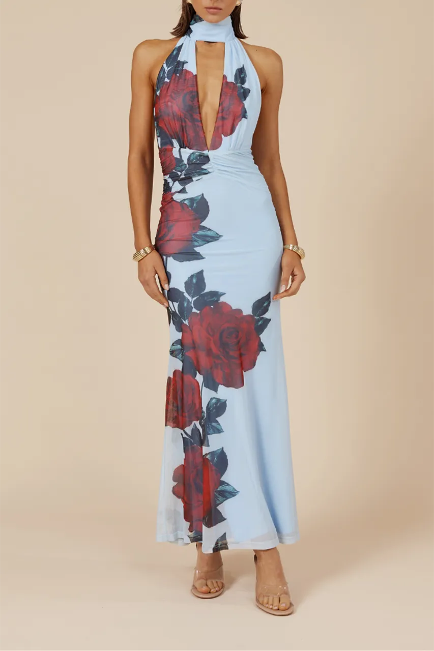 ANTONIE MAXI DRESS