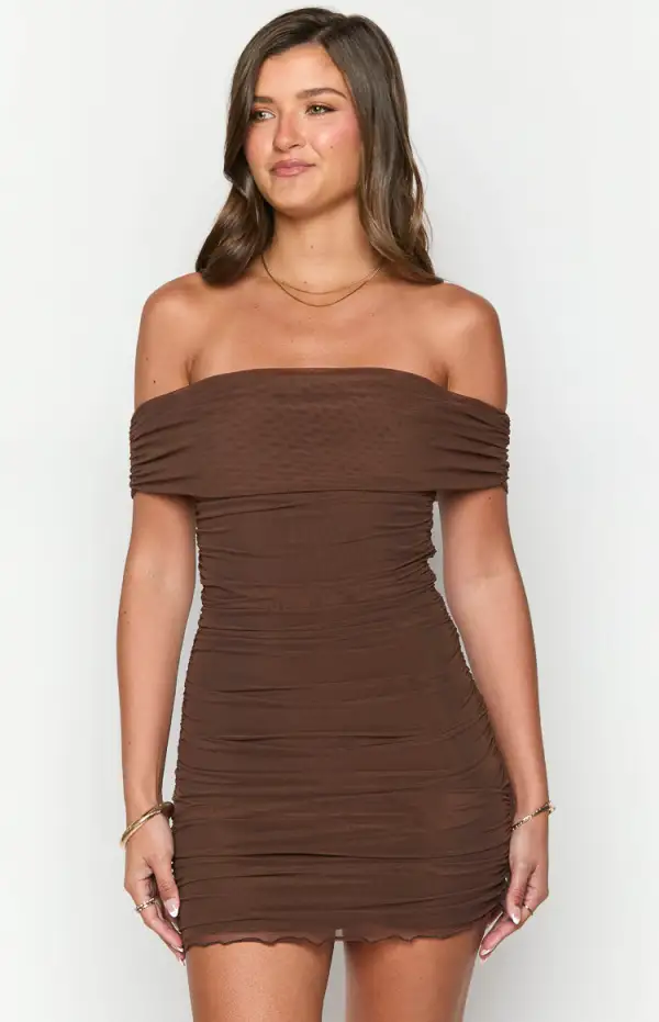 Dalma Brown Mini Dress