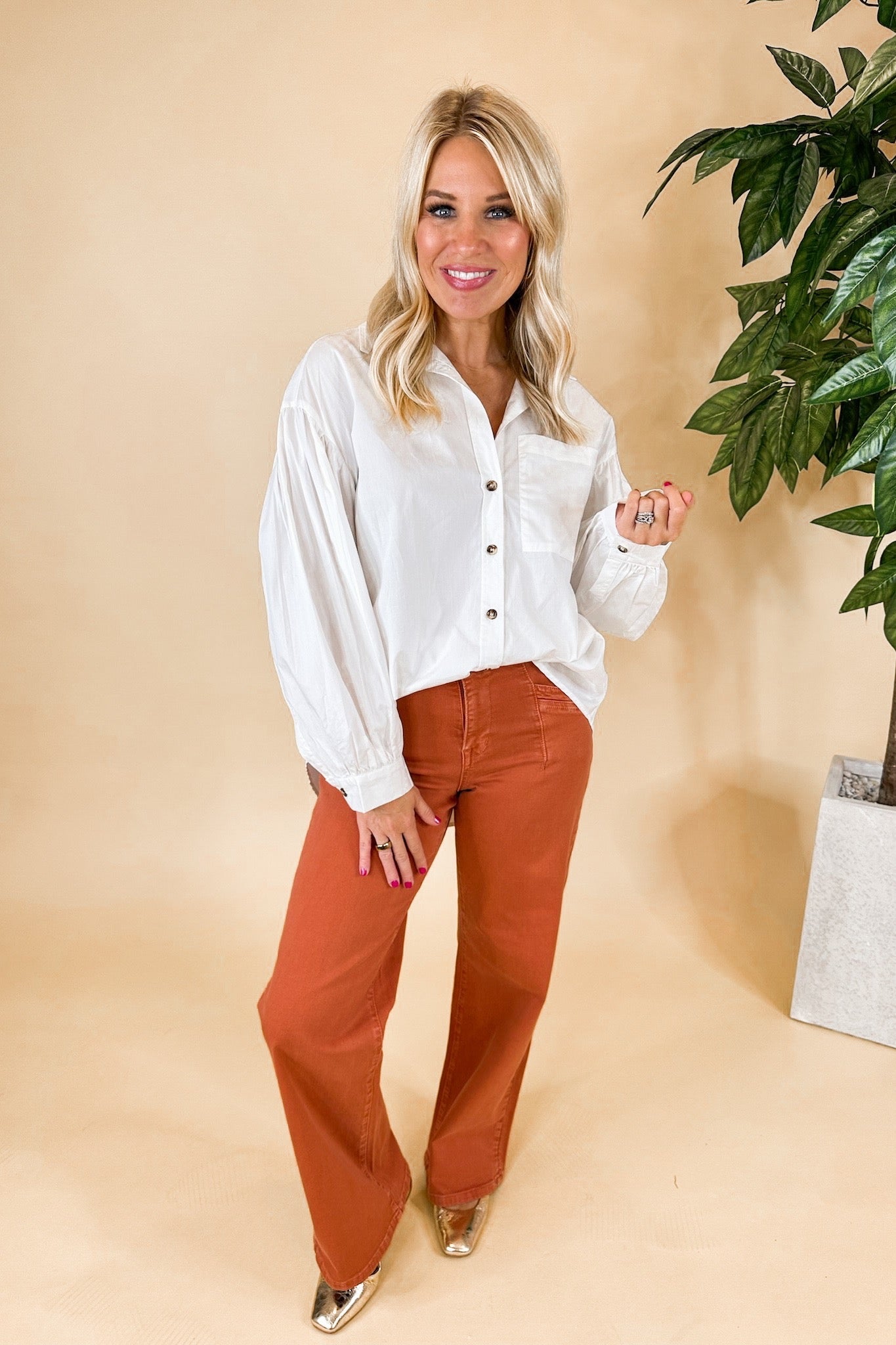 Classic Button Down White Shirt