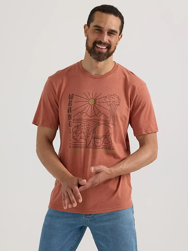 MEN'S BISON GRAPHIC T-SHIRT IN REDWOOD