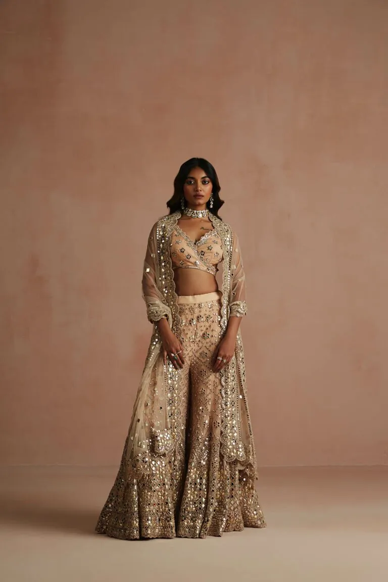 Deep Nude Mirror & Applique Drape Sharara Set