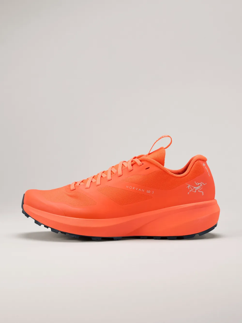 Norvan LD 3 GTX Shoe Men's