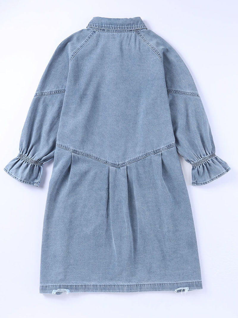 Sky Blue Buttoned Long Sleeve Denim Mini Dress